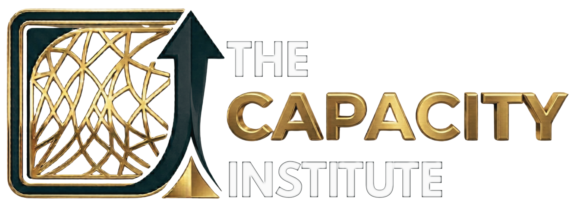 The Capacity Institute